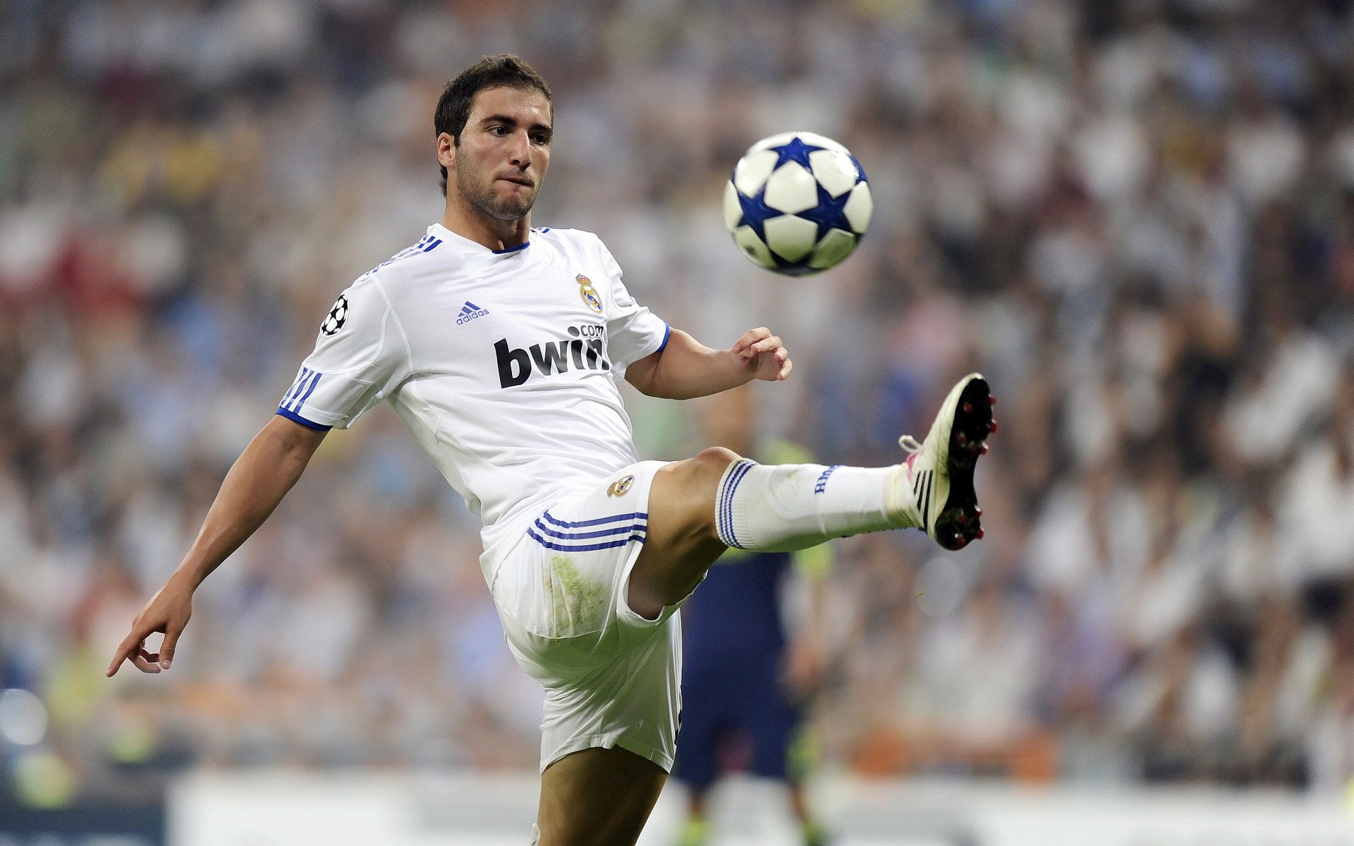 公牛小将突破能力明显提升展现潜力，公牛新品