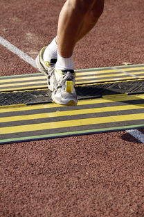 国际体操锦标赛中国女队夺冠，国际体操联合会裁判